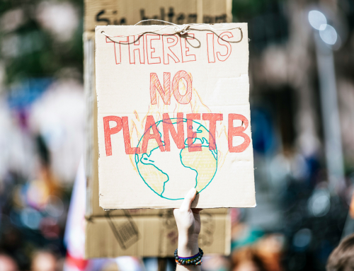 Fading stories of modernity and the rise of planetary health